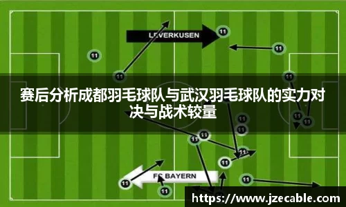 赛后分析成都羽毛球队与武汉羽毛球队的实力对决与战术较量